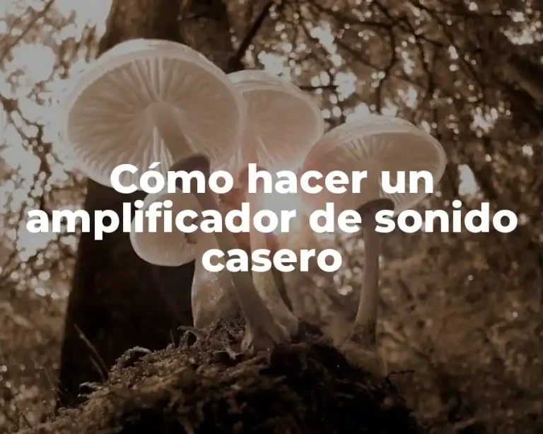 Cómo hacer un amplificador de sonido casero