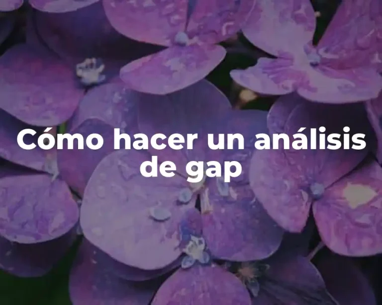 Cómo hacer un análisis de gap