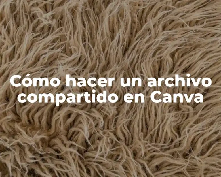 Cómo hacer un archivo compartido en Canva