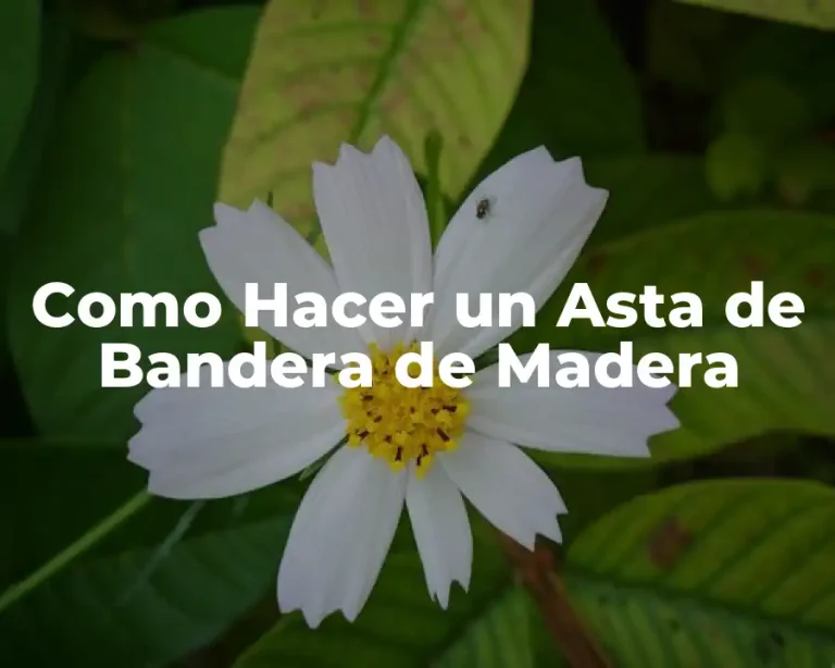 Como Hacer un Asta de Bandera de Madera