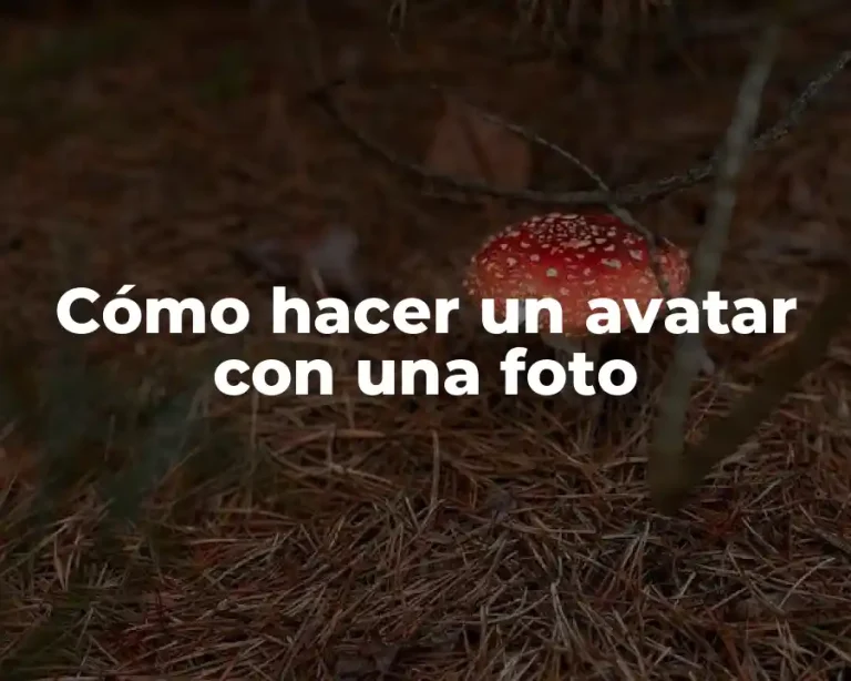 Cómo hacer un avatar con una foto