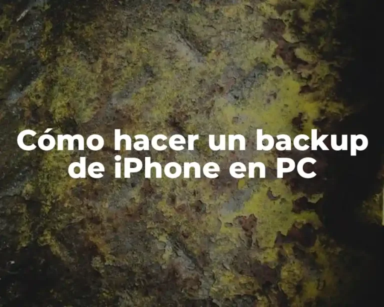 Cómo hacer un backup de iPhone en PC