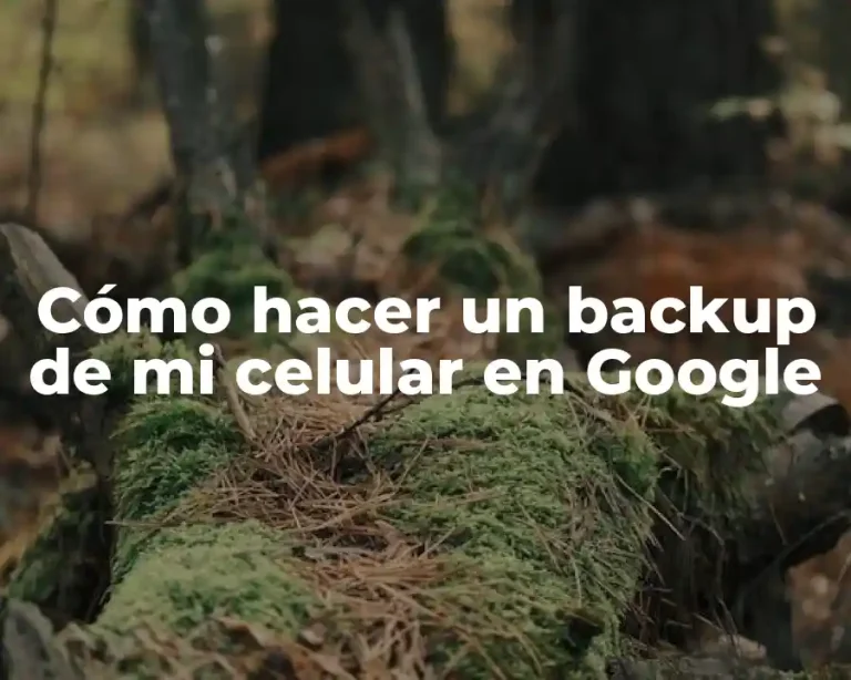 Cómo hacer un backup de mi celular en Google