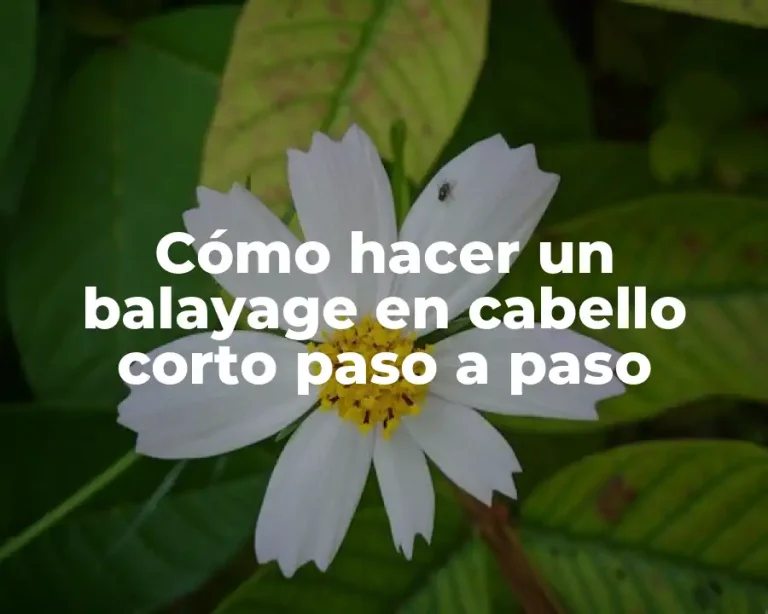 Cómo hacer un balayage en cabello corto paso a paso