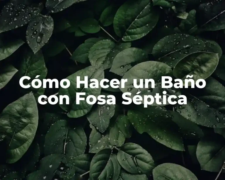 Cómo Hacer un Baño con Fosa Séptica