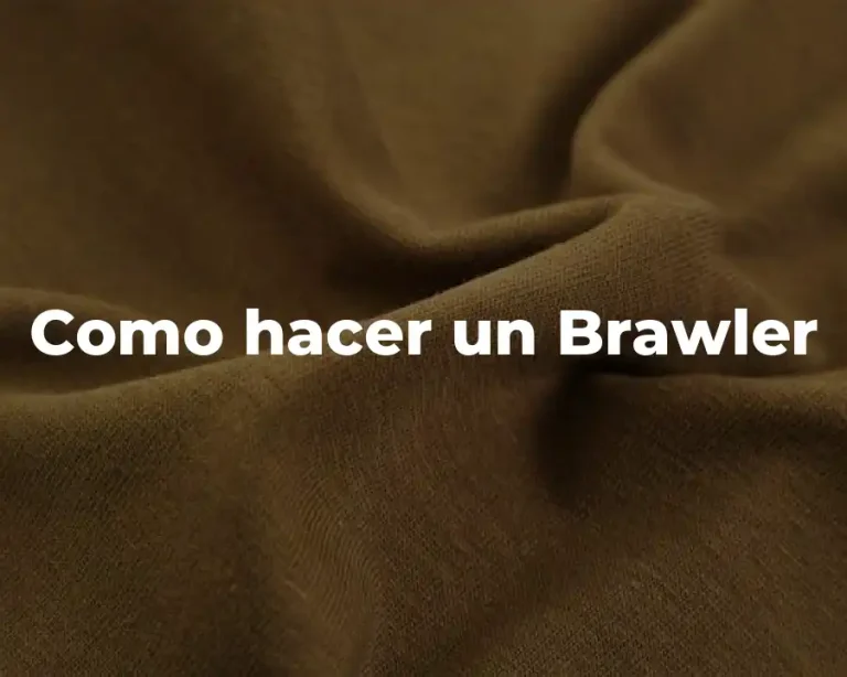 Como hacer un Brawler
