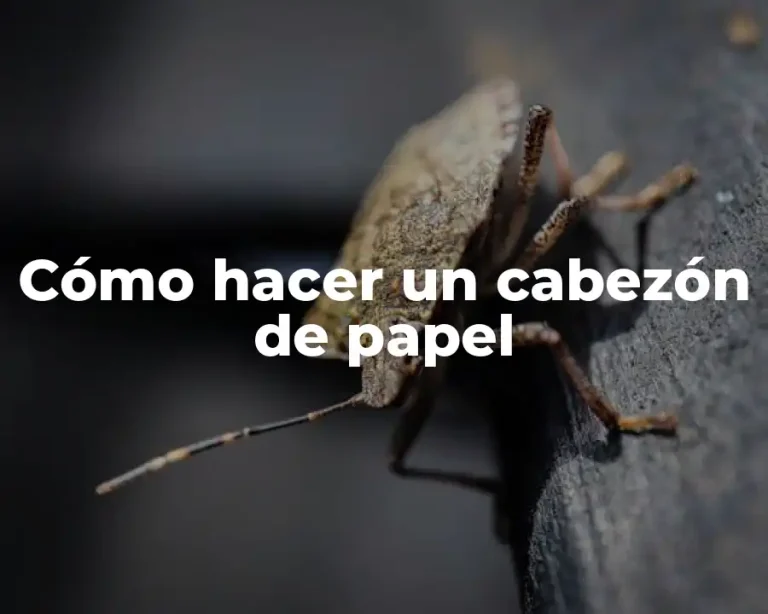 Cómo hacer un cabezón de papel