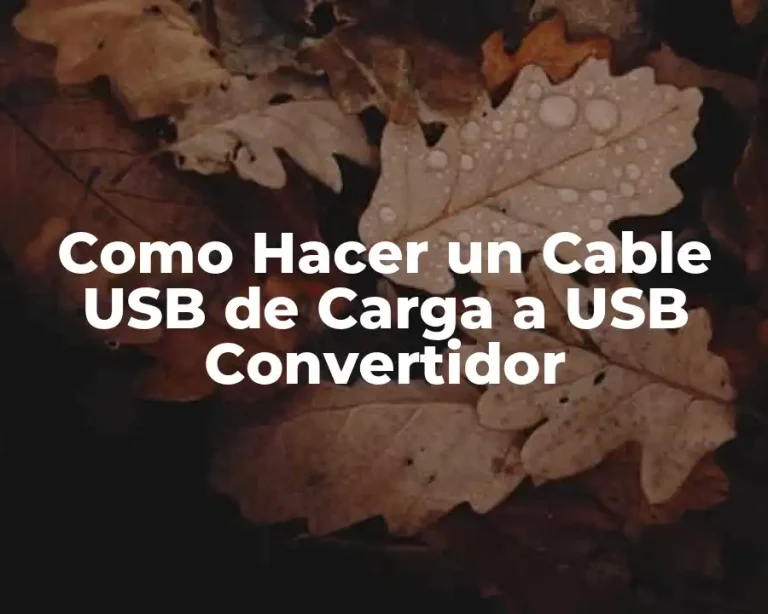 Como Hacer un Cable USB de Carga a USB Convertidor