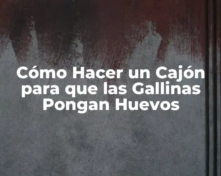 Cómo Hacer un Cajón para que las Gallinas Pongan Huevos