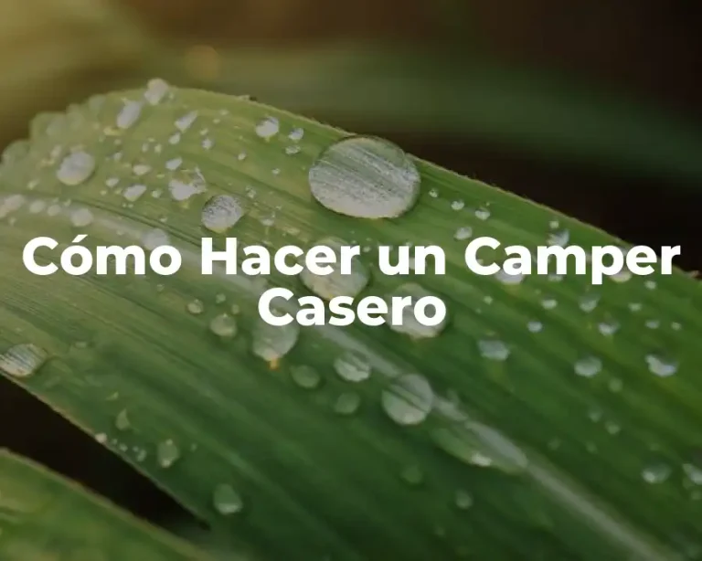 Cómo Hacer un Camper Casero
