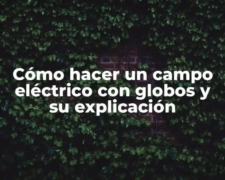 Cómo hacer un campo eléctrico con globos y su explicación