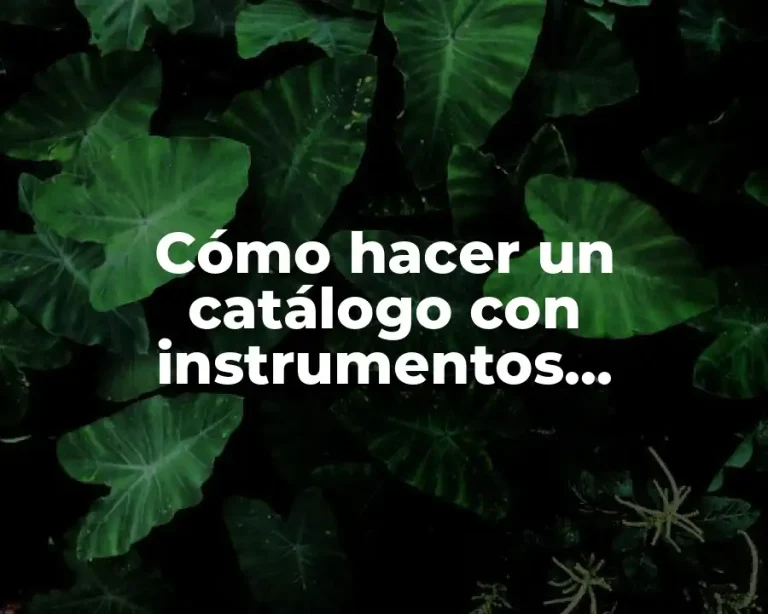 Cómo hacer un catálogo con instrumentos tecnológicos