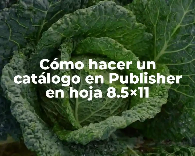 Cómo hacer un catálogo en Publisher en hoja 8.5×11