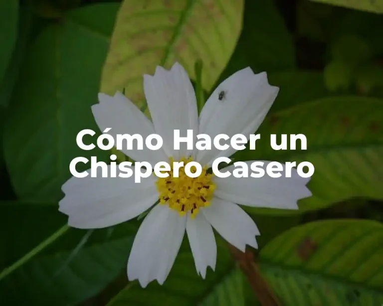 Cómo Hacer un Chispero Casero