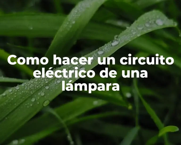 Como hacer un circuito eléctrico de una lámpara