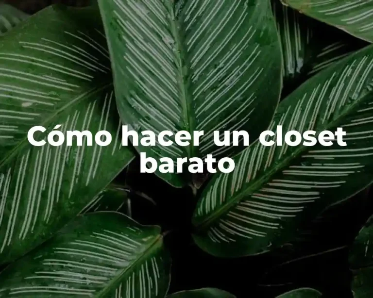 Cómo hacer un closet barato