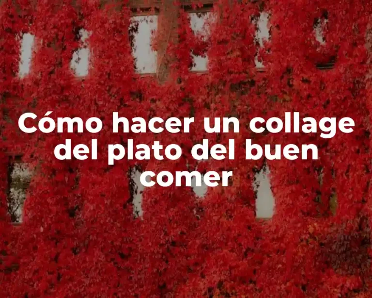 Cómo hacer un collage del plato del buen comer