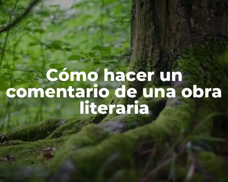 Cómo hacer un comentario de una obra literaria