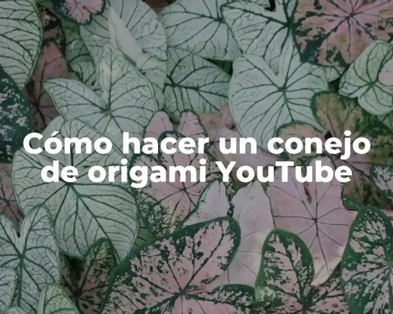 Cómo hacer un conejo de origami YouTube