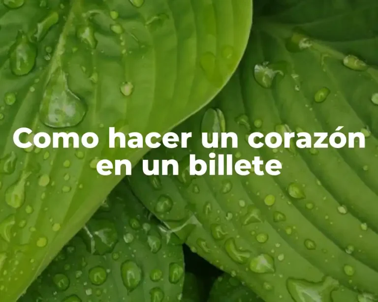 Como hacer un corazón en un billete