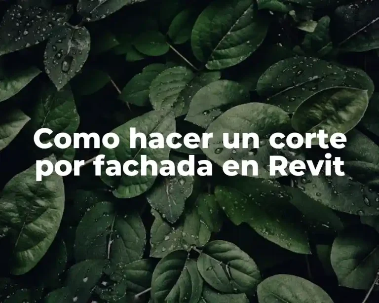 Como hacer un corte por fachada en Revit