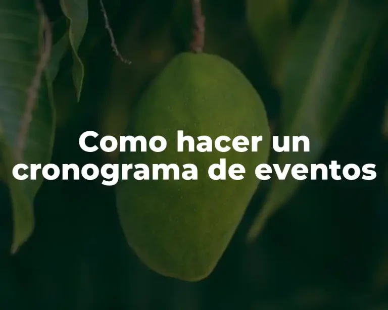 Como hacer un cronograma de eventos