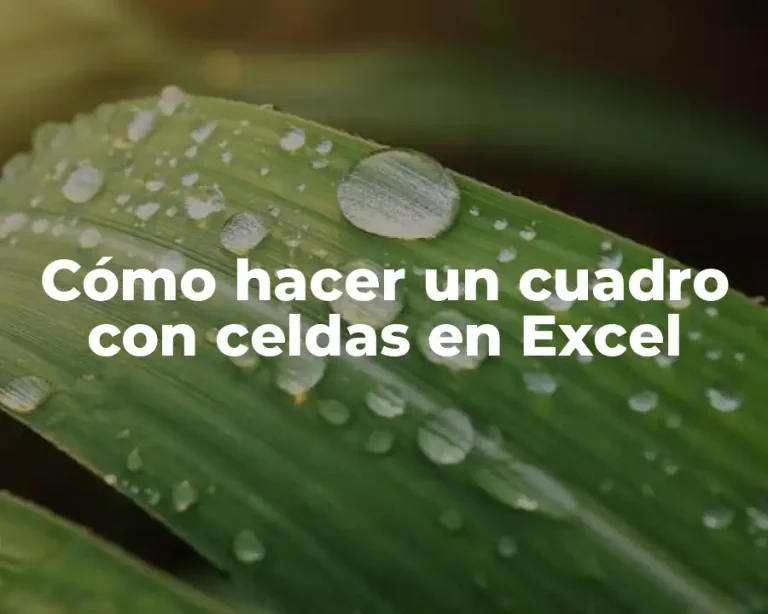 Cómo hacer un cuadro con celdas en Excel
