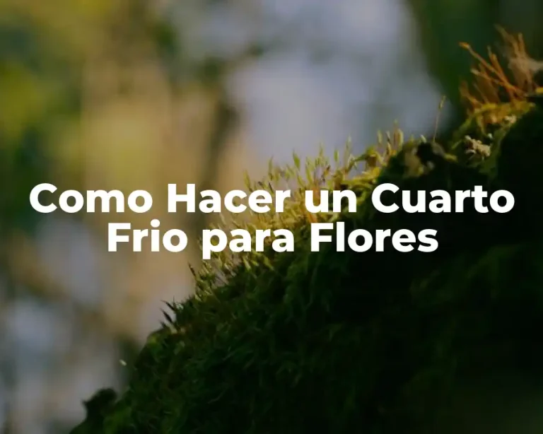 Como Hacer un Cuarto Frio para Flores