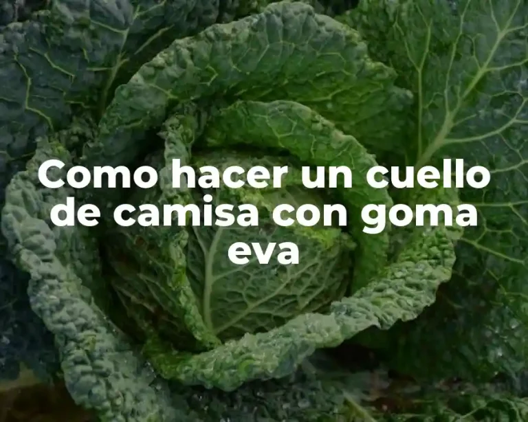 Como hacer un cuello de camisa con goma eva