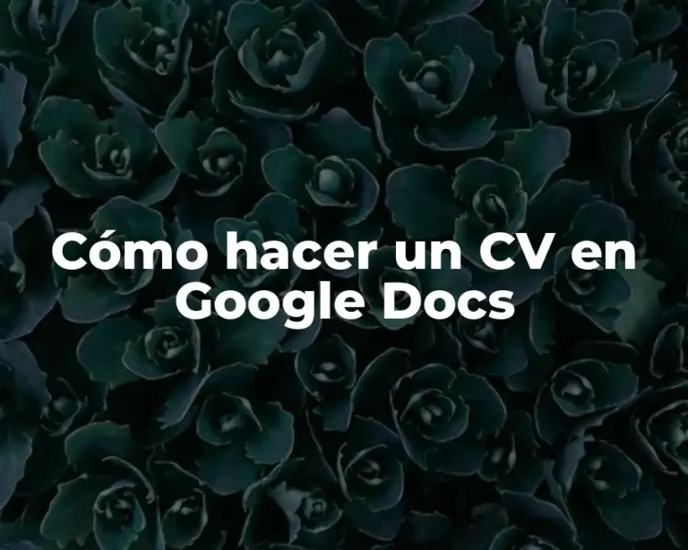 Cómo hacer un CV en Google Docs