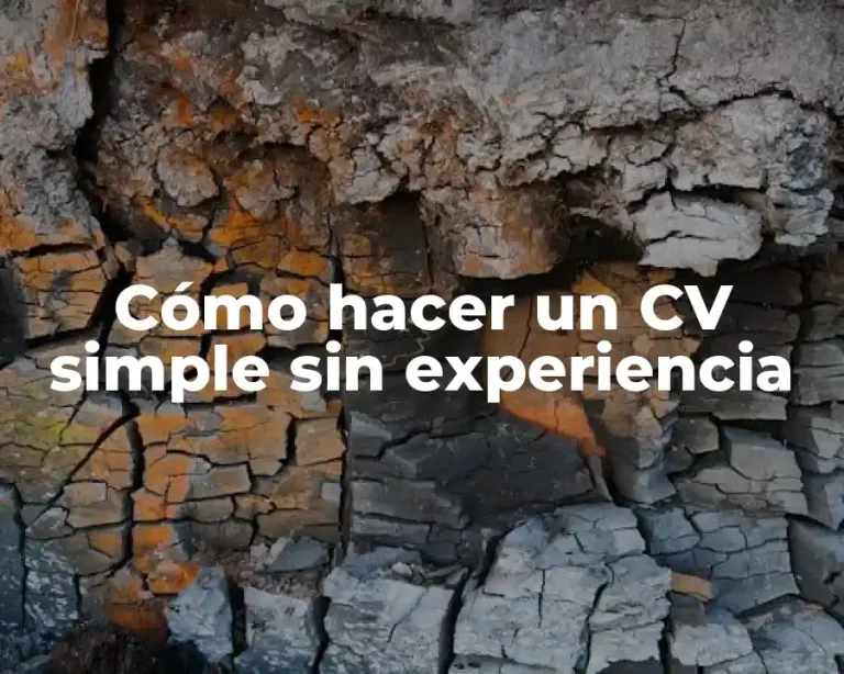 Cómo hacer un CV simple sin experiencia