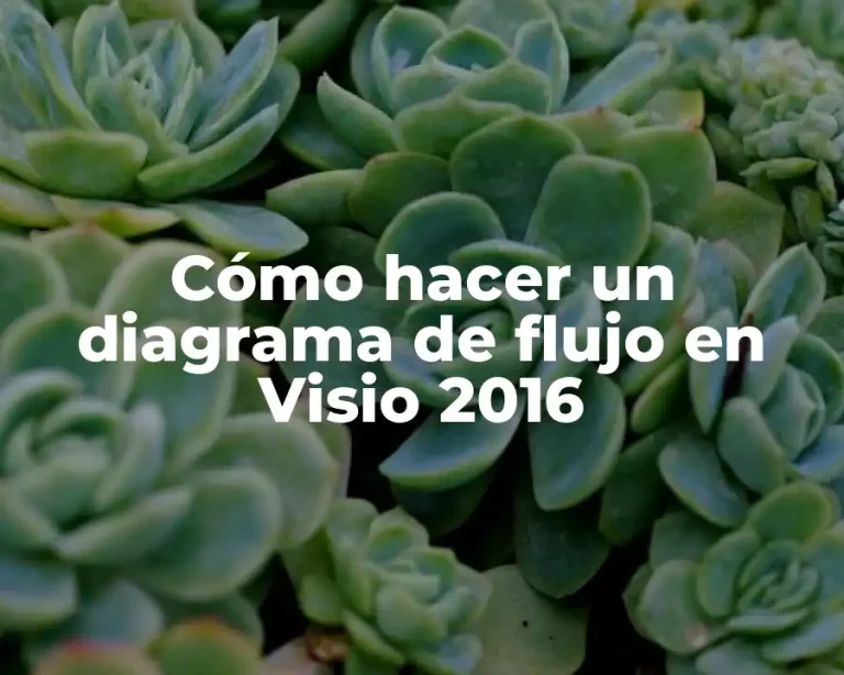 Cómo hacer un diagrama de flujo en Visio 2016