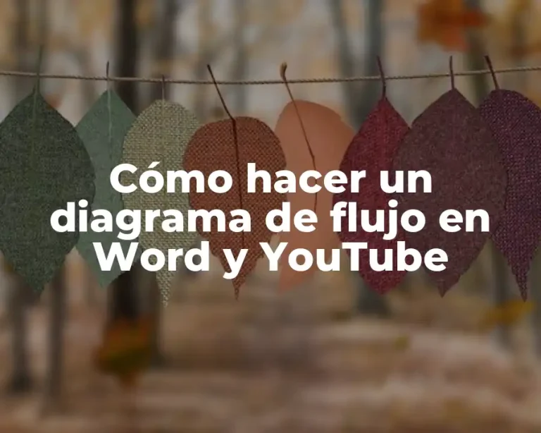 Cómo hacer un diagrama de flujo en Word y YouTube