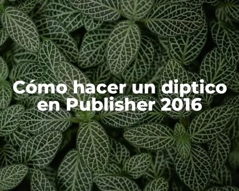 Cómo hacer un diptico en Publisher 2016