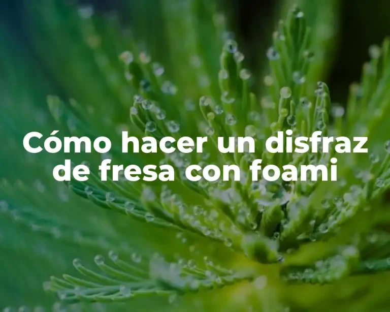 Cómo hacer un disfraz de fresa con foami