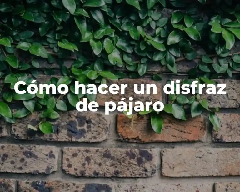 Cómo hacer un disfraz de pájaro