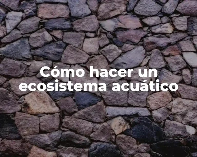 Cómo hacer un ecosistema acuático