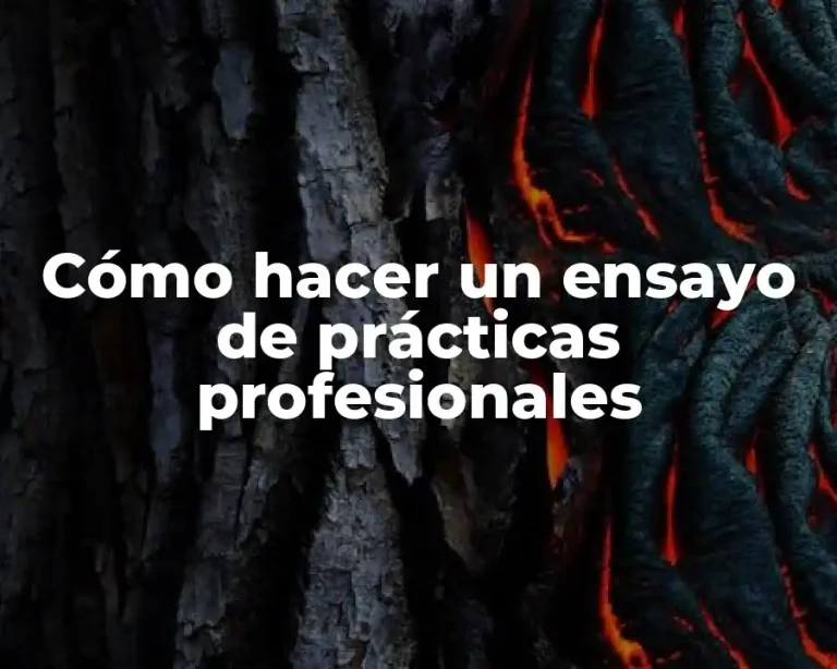 Cómo hacer un ensayo de prácticas profesionales
