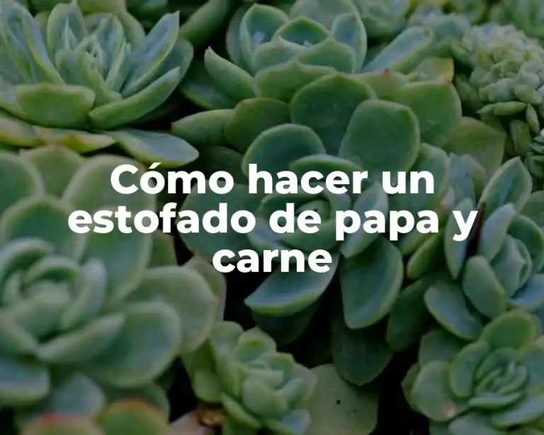 Cómo hacer un estofado de papa y carne