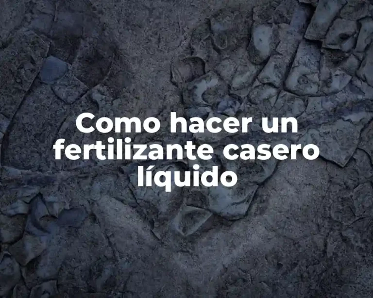 Como hacer un fertilizante casero líquido
