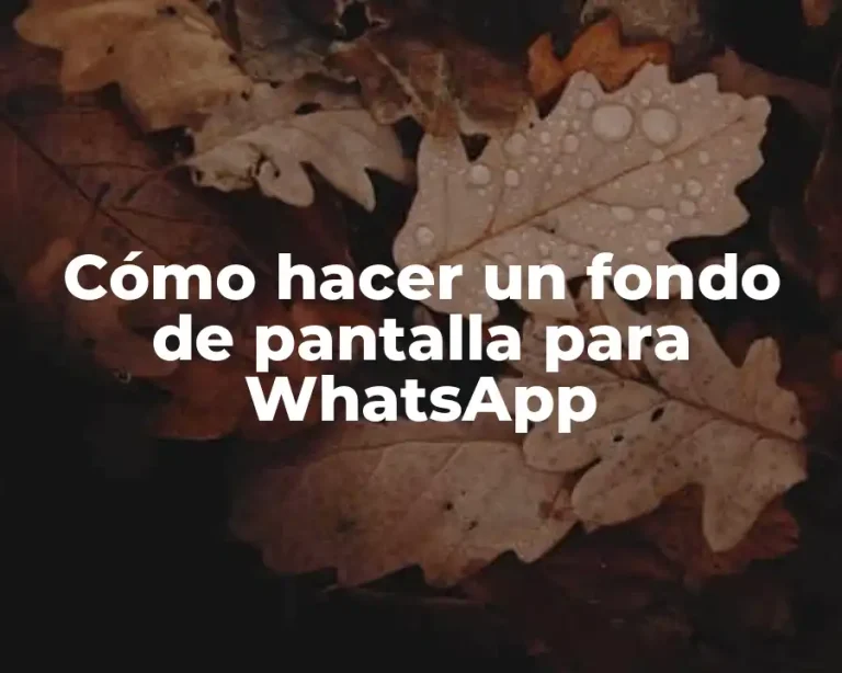 Cómo hacer un fondo de pantalla para WhatsApp