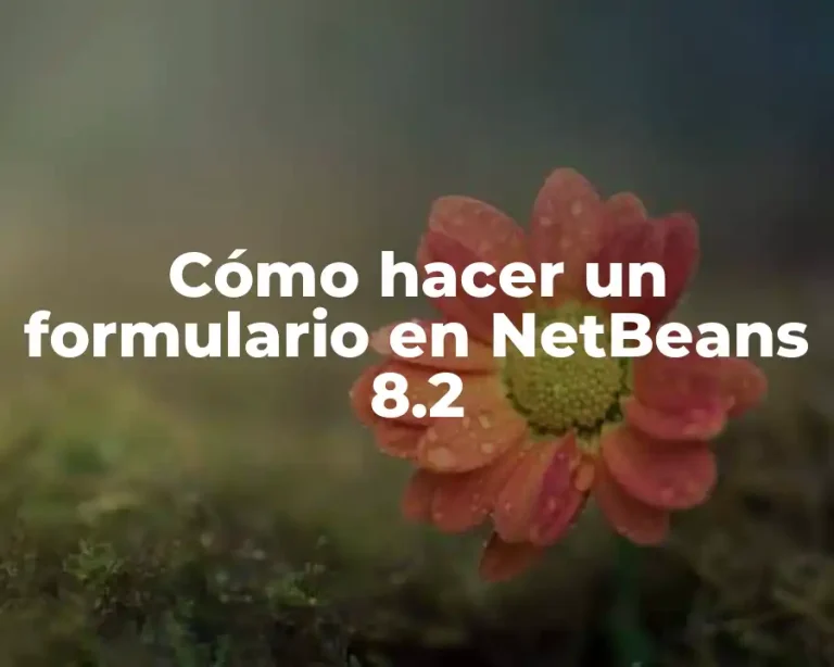 Cómo hacer un formulario en NetBeans 8.2