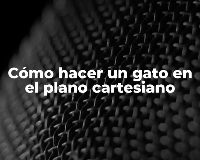 Cómo hacer un gato en el plano cartesiano