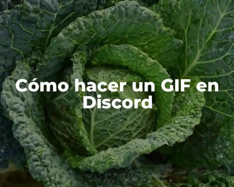 Cómo hacer un GIF en Discord