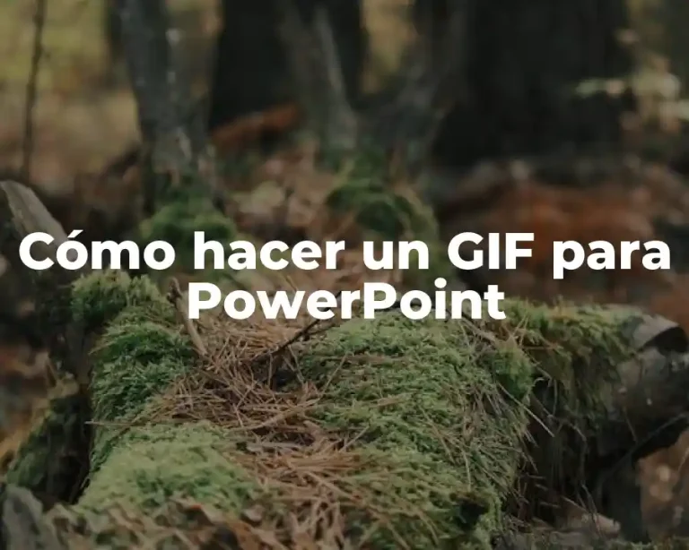 Cómo hacer un GIF para PowerPoint