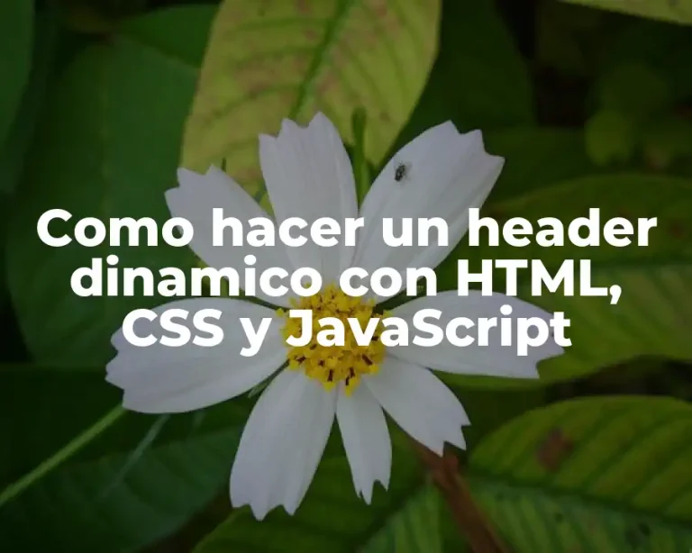 Como hacer un header dinamico con HTML, CSS y JavaScript