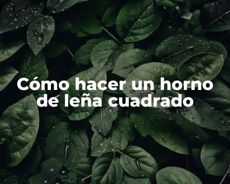 Cómo hacer un horno de leña cuadrado