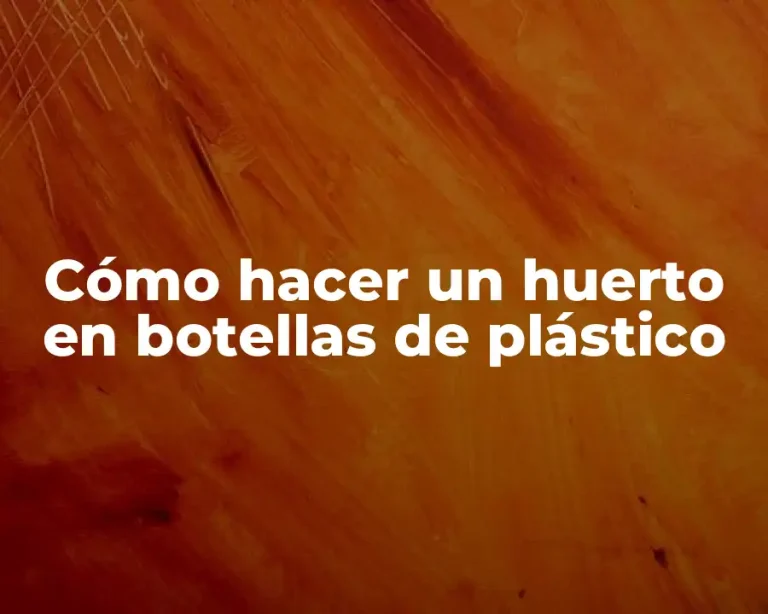 Cómo hacer un huerto en botellas de plástico