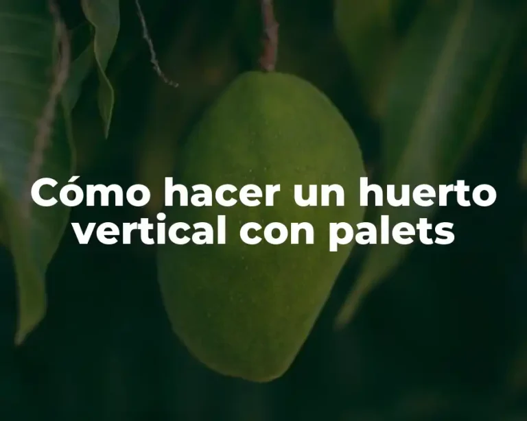 Cómo hacer un huerto vertical con palets