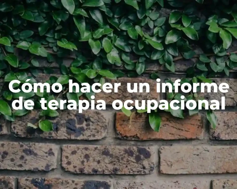 Cómo hacer un informe de terapia ocupacional